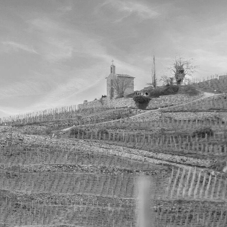 La Chapelle Vineyards in France